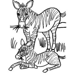 Página para colorir: Zebra (animais) #13130 - Páginas para Colorir Imprimíveis Gratuitamente