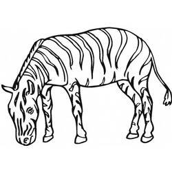 Página para colorir: Zebra (animais) #13133 - Páginas para Colorir Imprimíveis Gratuitamente