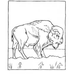Página para colorir: Zoológico (Animais) #12685 - Páginas para Colorir Imprimíveis Gratuitamente