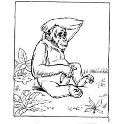 Página para colorir: Zoológico (Animais) #12700 - Páginas para Colorir Imprimíveis Gratuitamente
