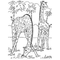 Página para colorir: Zoológico (Animais) #12703 - Páginas para Colorir Imprimíveis Gratuitamente