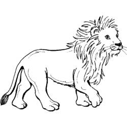 Página para colorir: Zoológico (Animais) #12707 - Páginas para Colorir Imprimíveis Gratuitamente