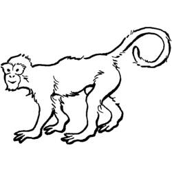 Página para colorir: Zoológico (Animais) #12732 - Páginas para Colorir Imprimíveis Gratuitamente
