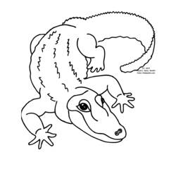 Página para colorir: Zoológico (Animais) #12735 - Páginas para Colorir Imprimíveis Gratuitamente