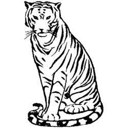 Página para colorir: Zoológico (Animais) #12744 - Páginas para Colorir Imprimíveis Gratuitamente
