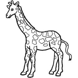 Página para colorir: Zoológico (Animais) #12745 - Páginas para Colorir Imprimíveis Gratuitamente