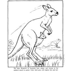Página para colorir: Zoológico (Animais) #12752 - Páginas para Colorir Imprimíveis Gratuitamente