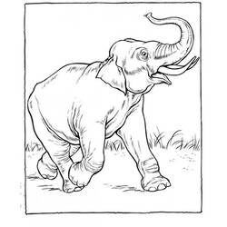 Página para colorir: Zoológico (Animais) #12753 - Páginas para Colorir Imprimíveis Gratuitamente