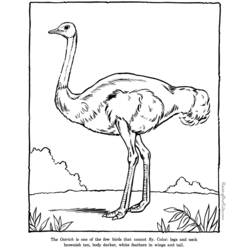 Página para colorir: Zoológico (Animais) #12773 - Páginas para Colorir Imprimíveis Gratuitamente
