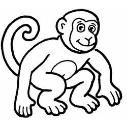 Página para colorir: Zoológico (Animais) #12804 - Páginas para Colorir Imprimíveis Gratuitamente