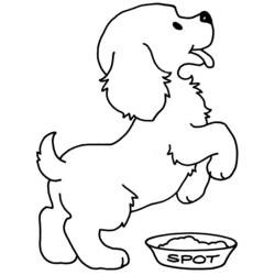 Página para colorir: Zoológico (Animais) #12811 - Páginas para Colorir Imprimíveis Gratuitamente