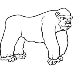 Página para colorir: Zoológico (Animais) #12813 - Páginas para Colorir Imprimíveis Gratuitamente