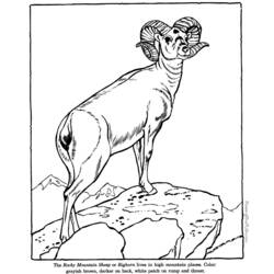 Página para colorir: Zoológico (Animais) #12830 - Páginas para Colorir Imprimíveis Gratuitamente