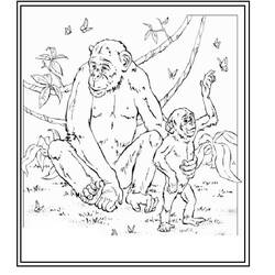 Página para colorir: Zoológico (Animais) #12851 - Páginas para Colorir Imprimíveis Gratuitamente