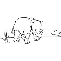 Página para colorir: Zoológico (Animais) #12855 - Páginas para Colorir Imprimíveis Gratuitamente