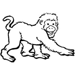 Página para colorir: Zoológico (Animais) #12873 - Páginas para Colorir Imprimíveis Gratuitamente
