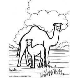 Página para colorir: Zoológico (Animais) #12885 - Páginas para Colorir Imprimíveis Gratuitamente