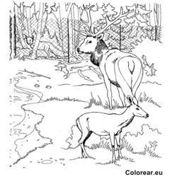 Página para colorir: Zoológico (Animais) #12888 - Páginas para Colorir Imprimíveis Gratuitamente