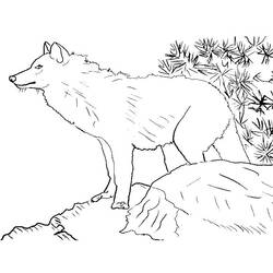 Página para colorir: Zoológico (Animais) #12922 - Páginas para Colorir Imprimíveis Gratuitamente