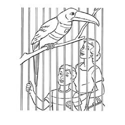 Página para colorir: Zoológico (Animais) #201745 - Páginas para Colorir Imprimíveis Gratuitamente