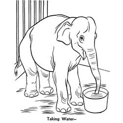 Página para colorir: Zoológico (Animais) #201751 - Páginas para Colorir Imprimíveis Gratuitamente
