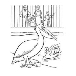 Página para colorir: Zoológico (Animais) #201754 - Páginas para Colorir Imprimíveis Gratuitamente