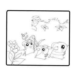 Desenho Hamtaro (Anime e Mangá) #40174 para imprimir e colorir