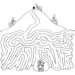 Desenho Labirintos (Aprendizado e Educação) #126475 para imprimir e colorir