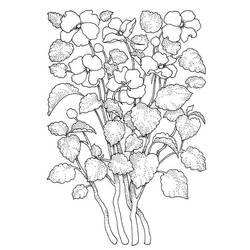 Desenhos para colorir: Flor Adulto - Páginas para Colorir Imprimíveis Gratuitamente
