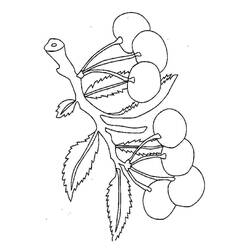Desenhos para colorir: Cereja - Páginas para Colorir Imprimíveis Gratuitamente