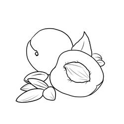 Desenhos para colorir: Damasco - Páginas para Colorir Imprimíveis Gratuitamente