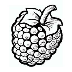 Desenhos para colorir: Framboesa - Páginas para Colorir Imprimíveis Gratuitamente