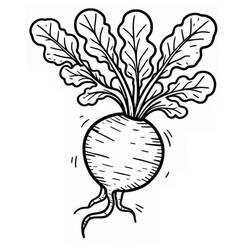 Página para colorir: Rabanete (Comida e Nutrição) #220965 - Páginas para Colorir Imprimíveis Gratuitamente
