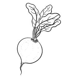 Página para colorir: Rabanete (Comida e Nutrição) #220981 - Páginas para Colorir Imprimíveis Gratuitamente