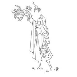 Desenho A Bela Adormecida (Contos de Fadas e Histórias) #130771 para imprimir e colorir