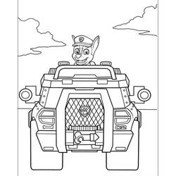 Desenho Paw Patrol (Desenhos Animados e Séries Animadas) #178143 para imprimir e colorir
