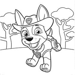 Desenho Paw Patrol (Desenhos Animados e Séries Animadas) #178175 para imprimir e colorir