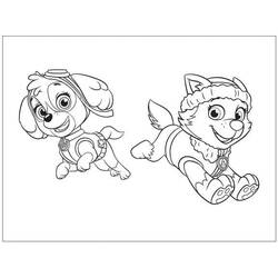 Desenho Paw Patrol (Desenhos Animados e Séries Animadas) #178190 para imprimir e colorir