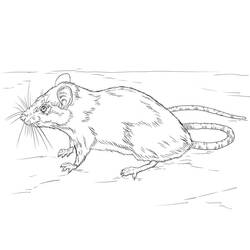 Página para colorir: The Daltons (Desenhos Animados e Séries Animadas) #209971 - Páginas para Colorir Imprimíveis Gratuitamente