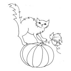 Desenho Halloween (Feriados e Celebrações) #55405 para imprimir e colorir