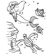 Desenho A Pequena Sereia (Filmes de Animação) #127449 para imprimir e colorir