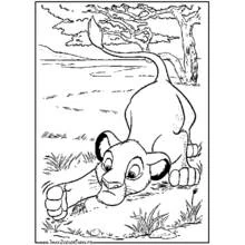 Ilustração de O Rei Leão (Filmes de Animação) #73620 para colorir gratuitamente