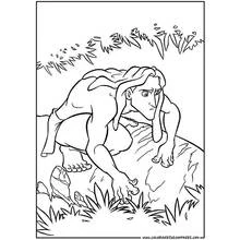 Desenho Tarzan (Filmes de Animação) #131275 para imprimir e colorir