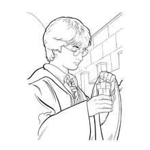 Página para colorir: Harry Potter (Filmes e Séries de TV) #69610 - Páginas para Colorir Imprimíveis Gratuitamente