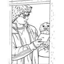 Página para colorir: Harry Potter (Filmes e Séries de TV) #69632 - Páginas para Colorir Imprimíveis Gratuitamente