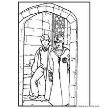 Desenho Harry Potter (Filmes e Séries de TV) #69646 para imprimir e colorir