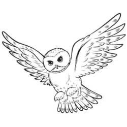 Página para colorir: Harry Potter (Filmes e Séries de TV) #69704 - Páginas para Colorir Imprimíveis Gratuitamente