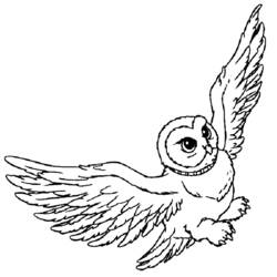 Página para colorir: Harry Potter (Filmes e Séries de TV) #69876 - Páginas para Colorir Imprimíveis Gratuitamente
