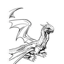 Página para colorir: Harry Potter (Filmes e Séries de TV) #69884 - Páginas para Colorir Imprimíveis Gratuitamente