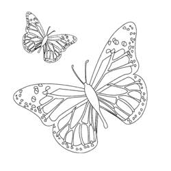 Página para colorir: mandalas de borboleta (mandalas) #117410 - Páginas para Colorir Imprimíveis Gratuitamente